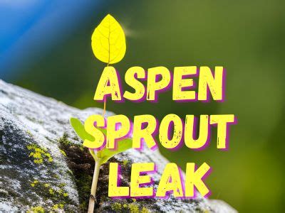 An Ultimate Guide To Aspen Sprout Leaks